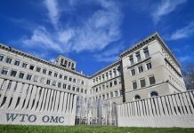 WTO nêu những yếu tố quyết định chi phí thương mại toàn cầu